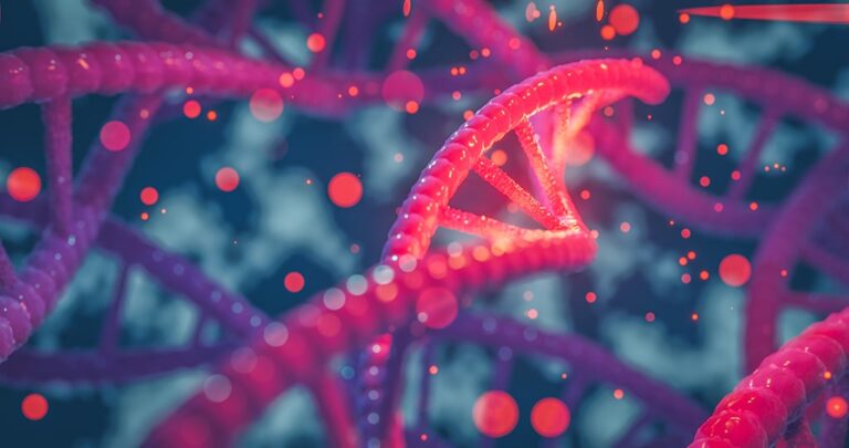A Completed Genome: What the 8% Means for You